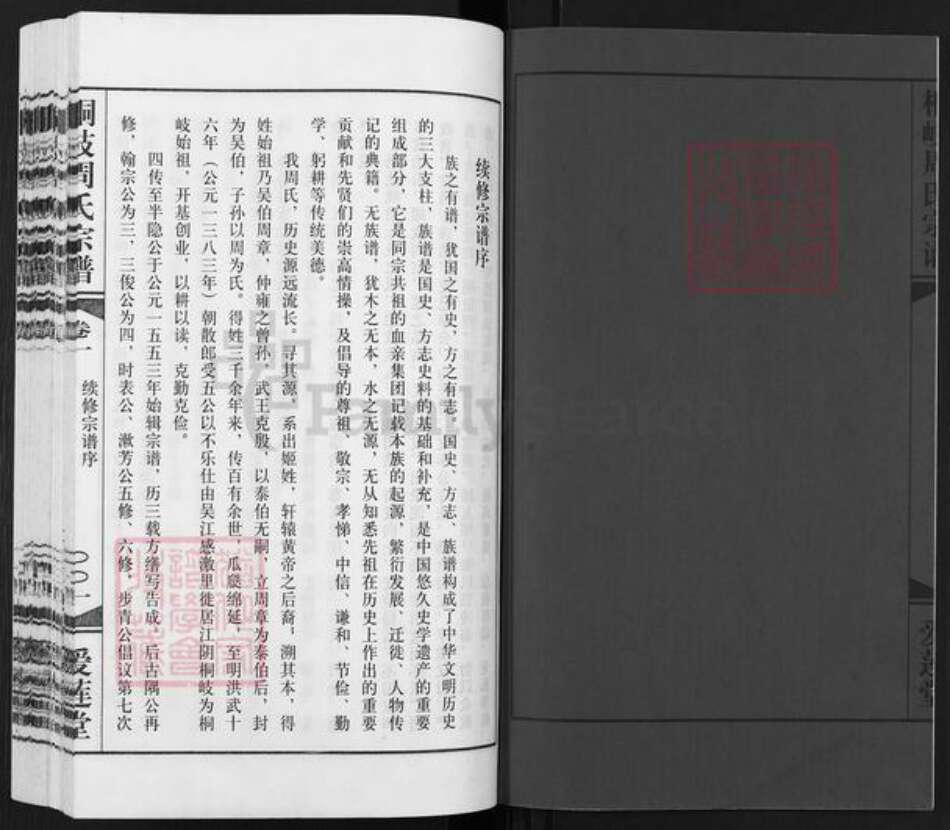 江苏省无锡市江阴市青阳镇周氏爱莲堂族谱-桐溪周氏宗谱.pdf电子版预览图2