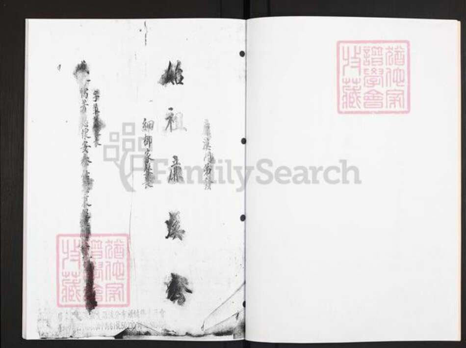 广东省广州市花都区狮岭镇周氏族谱-广东花都军田藏周公仁德族谱.pdf电子版预览图3