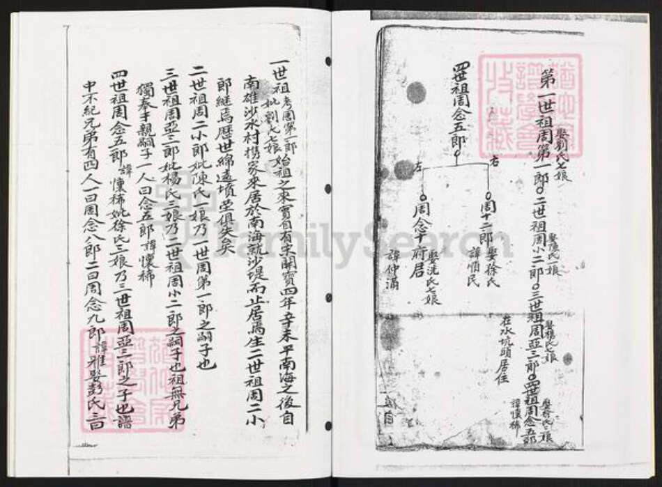 广东省云浮市郁南县宝珠镇周氏族谱-广东沙坑周宗支.郁南庞寨木坪社支系.pdf电子版预览图3