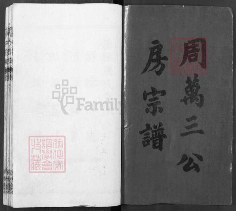 湖北省黄冈市罗田县周氏亲亲堂族谱-周氏宗谱.pdf电子版预览图1