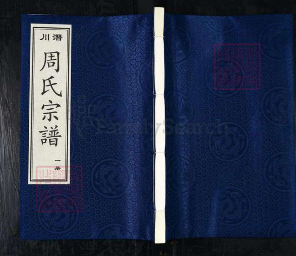 安徽省合肥市庐江县汤池镇周氏爱莲堂族谱-周氏宗谱.pdf电子版缩略图