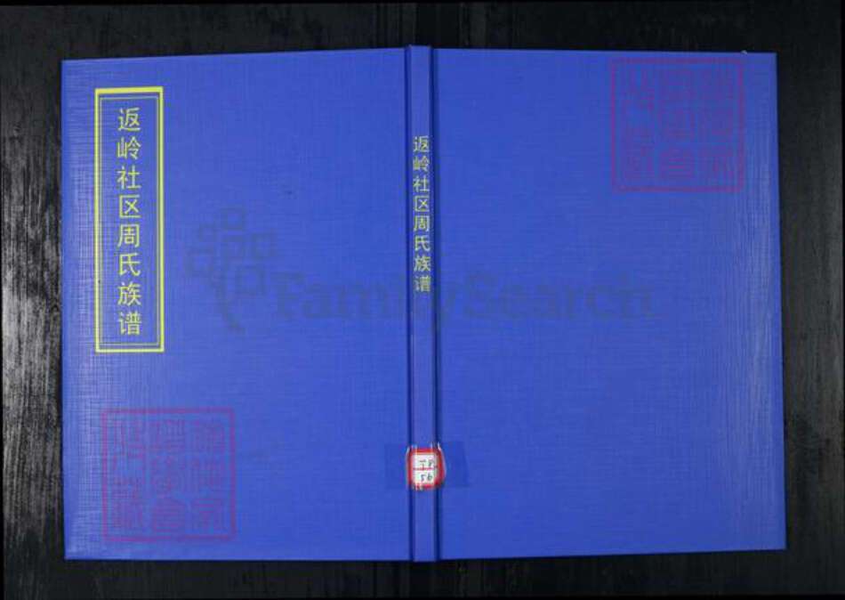 山东省青岛市崂山区周氏族谱-返岭社区周氏族谱.pdf电子版缩略图