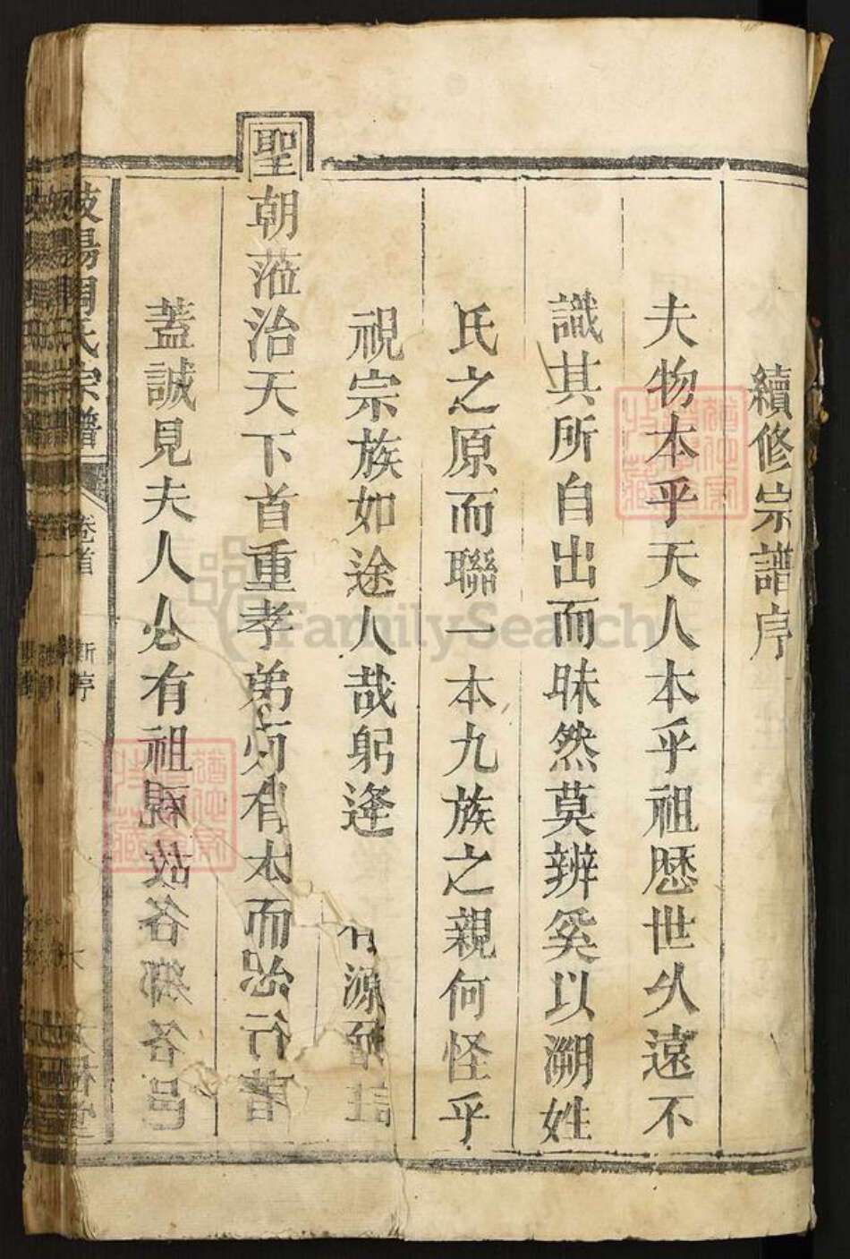 江西省上饶市广丰区洋口镇周氏太极堂族谱-岐阳周氏宗谱.pdf电子版预览图1