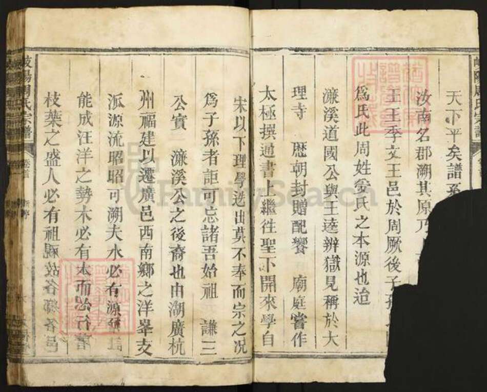 江西省上饶市广丰区洋口镇周氏太极堂族谱-岐阳周氏宗谱.pdf电子版预览图2