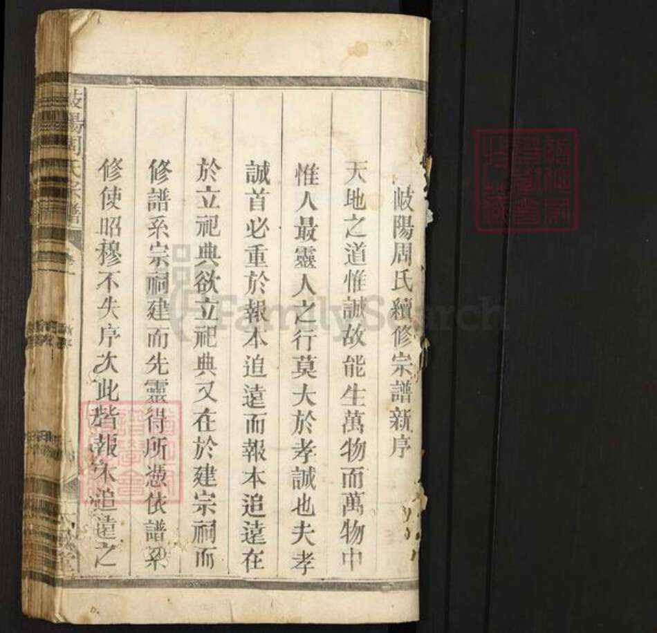 江西省上饶市广丰区洋口镇周氏太极堂族谱-岐阳周氏宗谱.pdf电子版预览图1