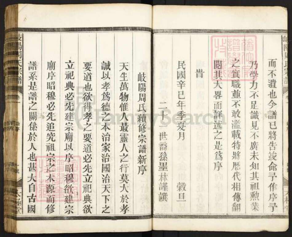 江西省上饶市广丰区洋口镇周氏太极堂族谱-岐阳周氏宗谱.pdf电子版预览图5