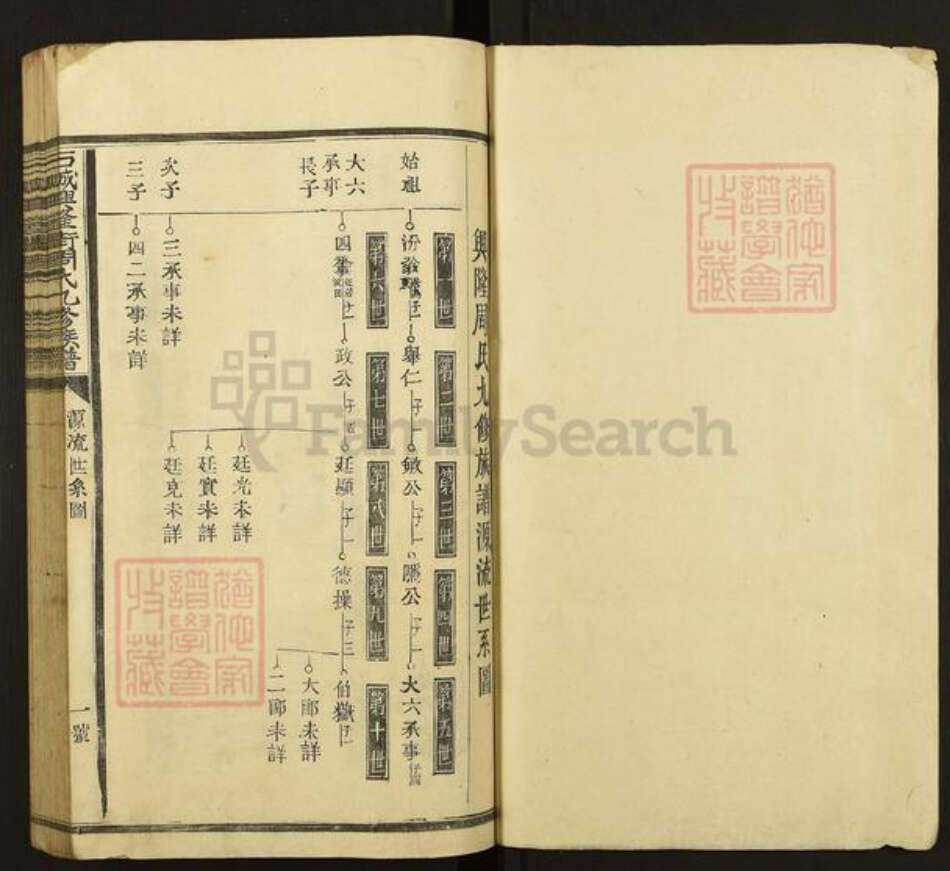 江西省赣州市石城县周氏族谱-石城兴隆街周氏九修族谱.pdf电子版预览图1