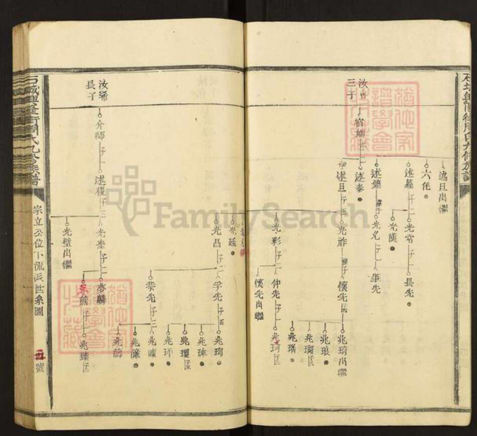 江西省赣州市石城县周氏族谱-石城兴隆街周氏九修族谱.pdf电子版预览图5