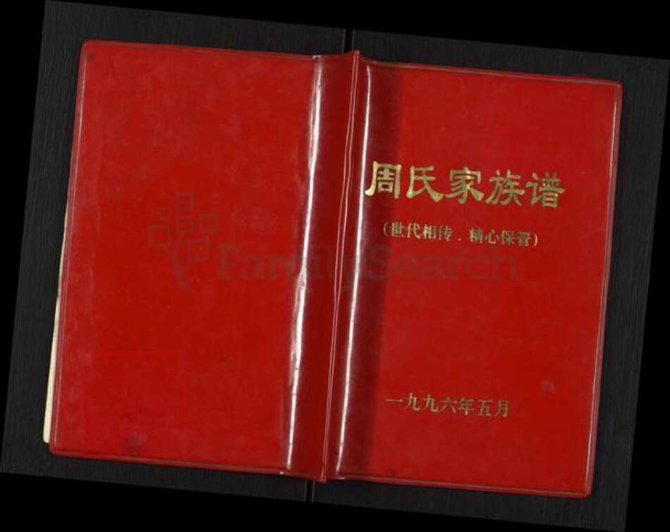 江苏省淮安市淮阴区周氏族谱-周氏家族谱.pdf电子版缩略图