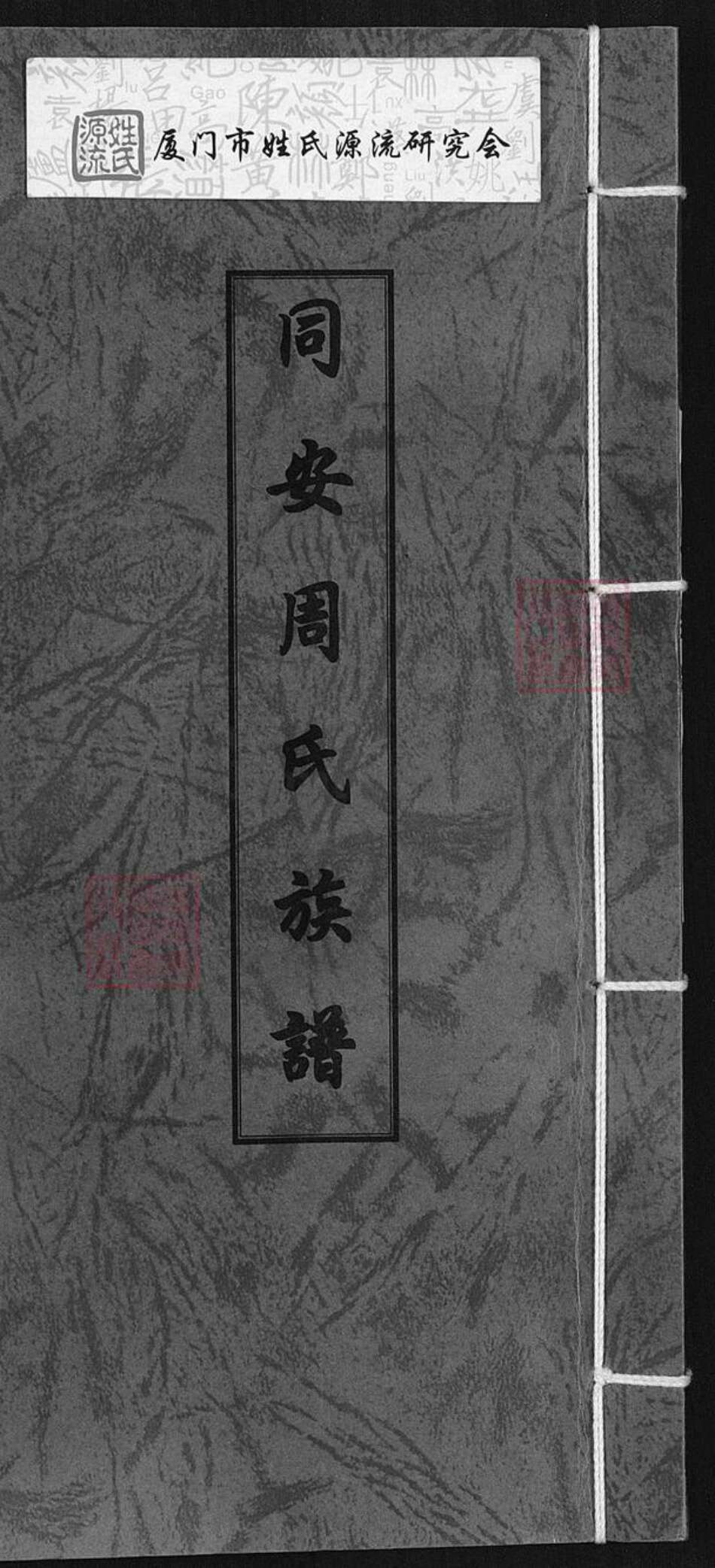 福建省厦门市集美区周氏族谱-同安周氏族谱.pdf电子版缩略图