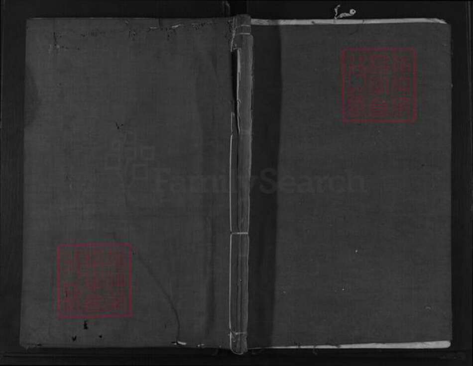 浙江省衢州龙游县周氏继志堂族谱-周氏宗谱.pdf电子版缩略图