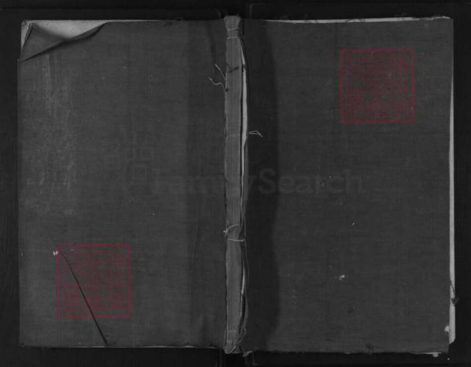 浙江省衢州龙游县周氏族谱-周氏宗谱.pdf电子版缩略图