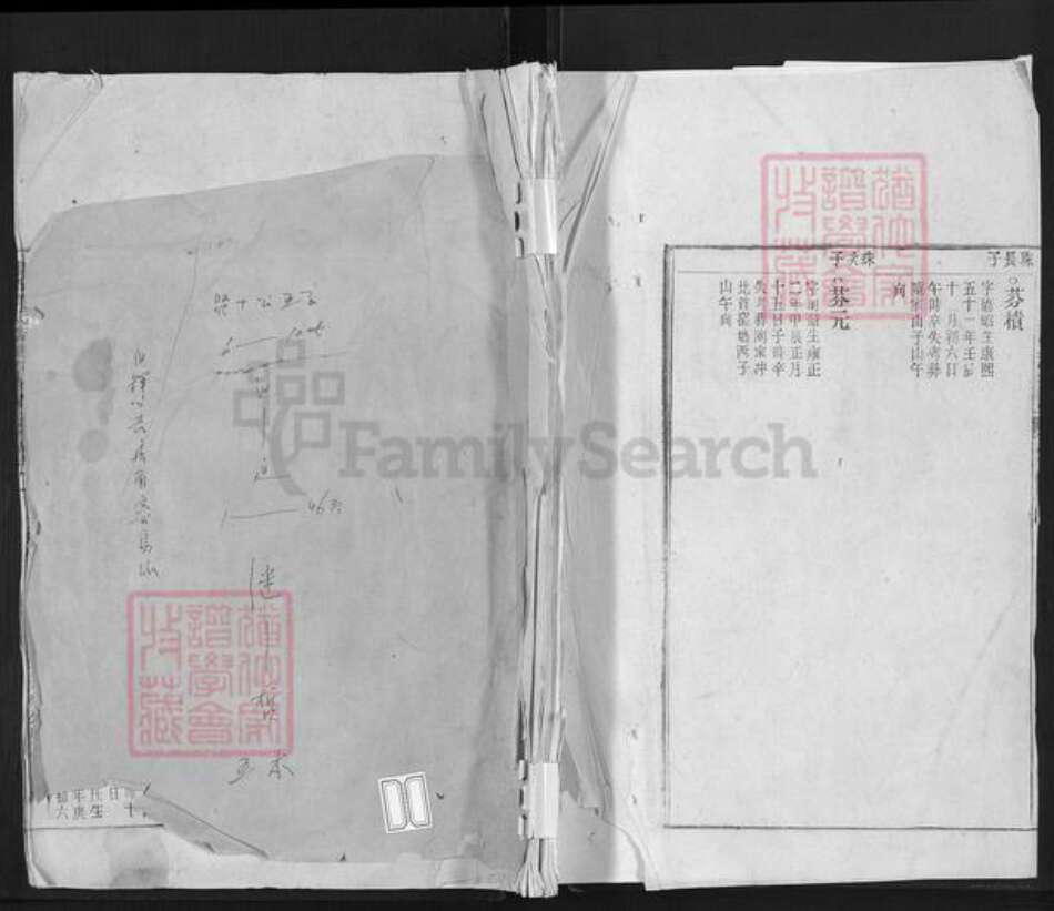 安徽省铜陵市郊区周潭镇周氏诜羽堂族谱-鹞石周氏诜羽堂支谱.pdf电子版缩略图