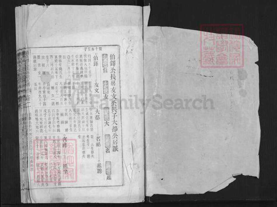 安徽省铜陵市郊区周潭镇周氏诜羽堂族谱-鹞石周氏诜羽堂支谱.pdf电子版预览图1