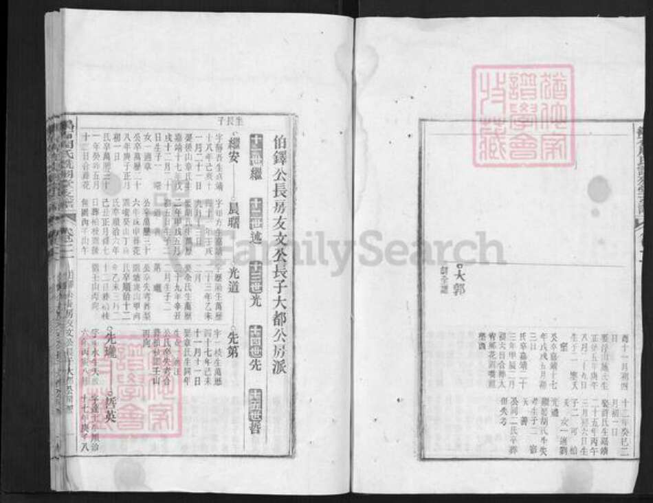 安徽省铜陵市郊区周潭镇周氏诜羽堂族谱-鹞石周氏诜羽堂支谱.pdf电子版预览图3