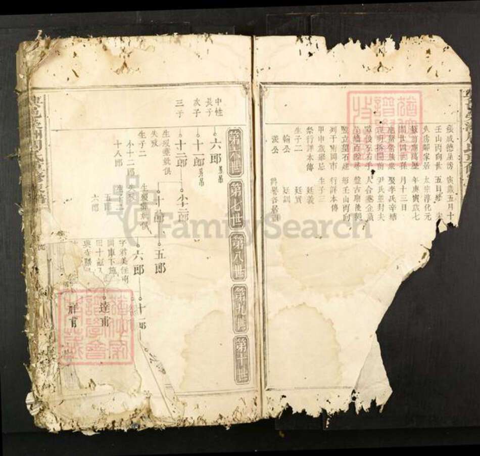 江西省赣州市兴国县周氏族谱-兴邑荣洲周氏重修家谱.pdf电子版预览图1