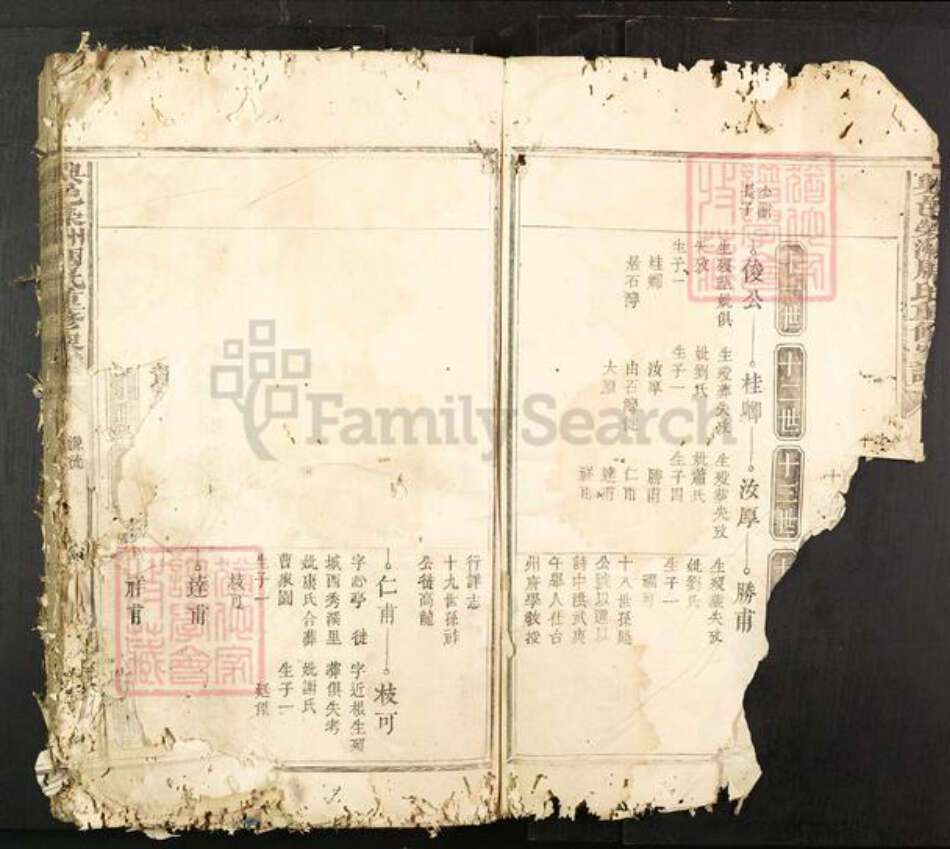 江西省赣州市兴国县周氏族谱-兴邑荣洲周氏重修家谱.pdf电子版预览图2