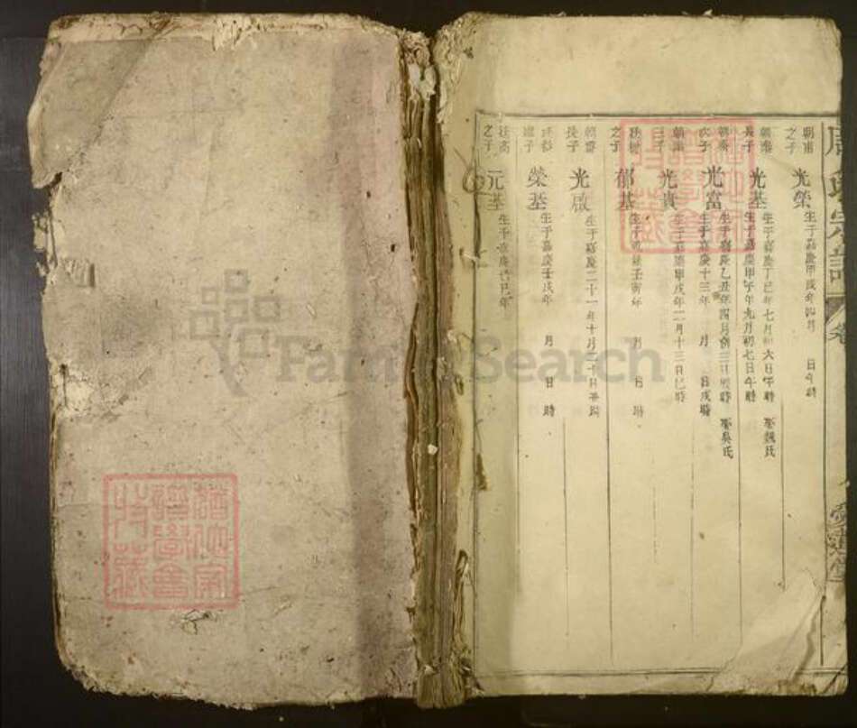 福建省南平市崇安县周氏族谱-周氏宗谱[不分卷].pdf电子版缩略图