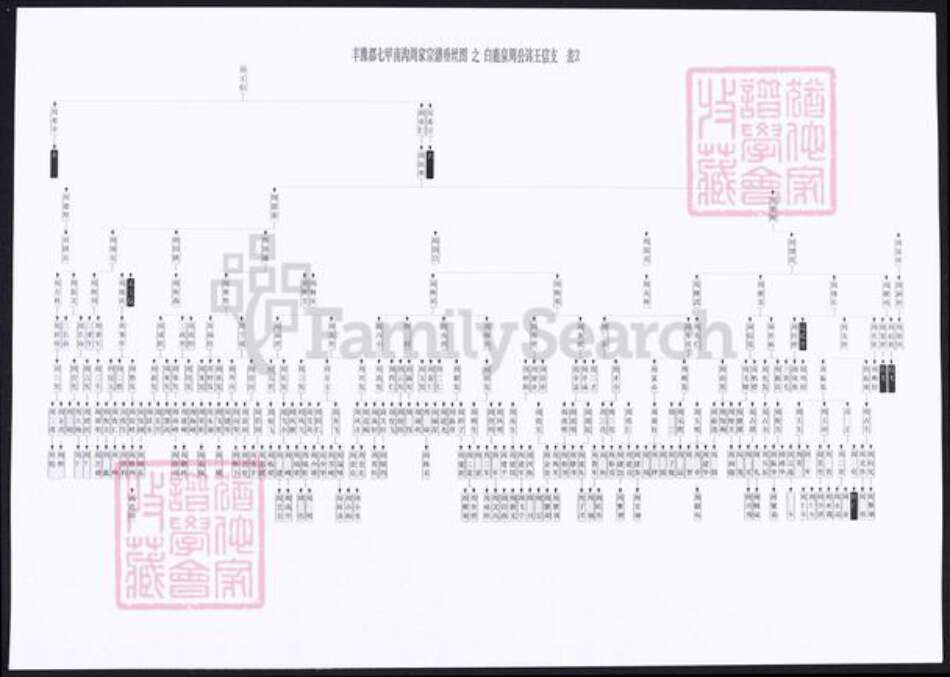 山西省忻州市河曲县周氏族谱-山西河曲丰豫都七甲南沟周氏世系表.pdf电子版预览图3