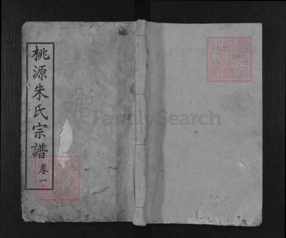 湖北省武汉市新洲区朱氏清源堂族谱-桃源朱氏宗谱.pdf电子版缩略图