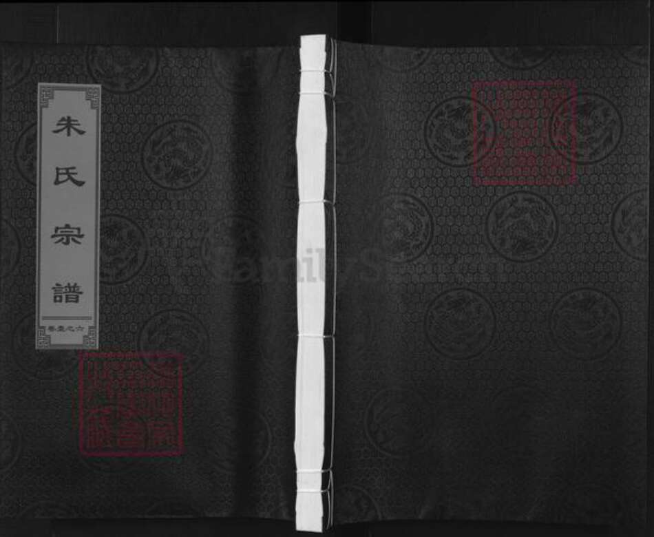 浙江省朱氏序伦堂族谱-朱氏宗谱.pdf电子版缩略图