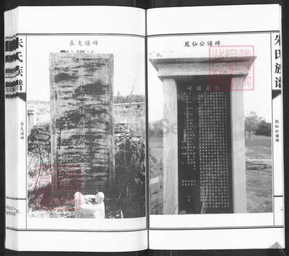 山东省枣庄市滕州市级索镇朱氏族谱-朱氏族谱.pdf电子版预览图4