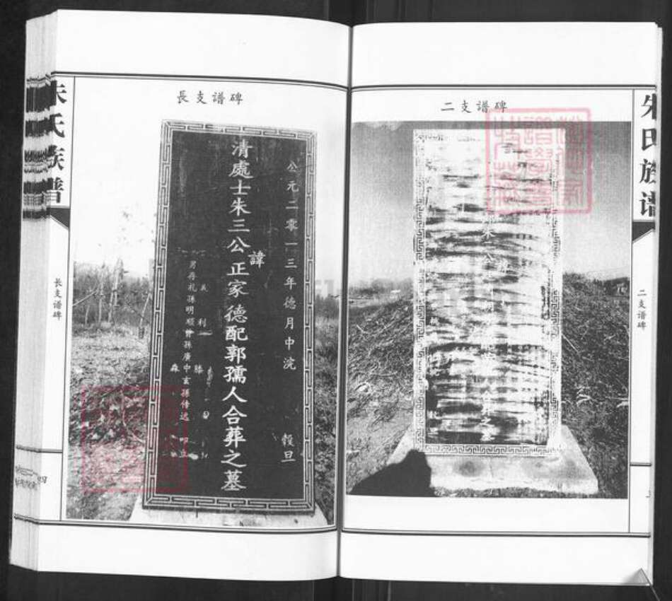 山东省枣庄市滕州市级索镇朱氏族谱-朱氏族谱.pdf电子版预览图5