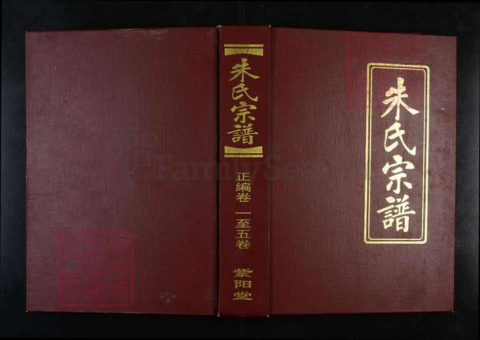 湖北省武汉市蔡甸区朱氏紫阳堂族谱-朱氏宗谱.pdf电子版缩略图