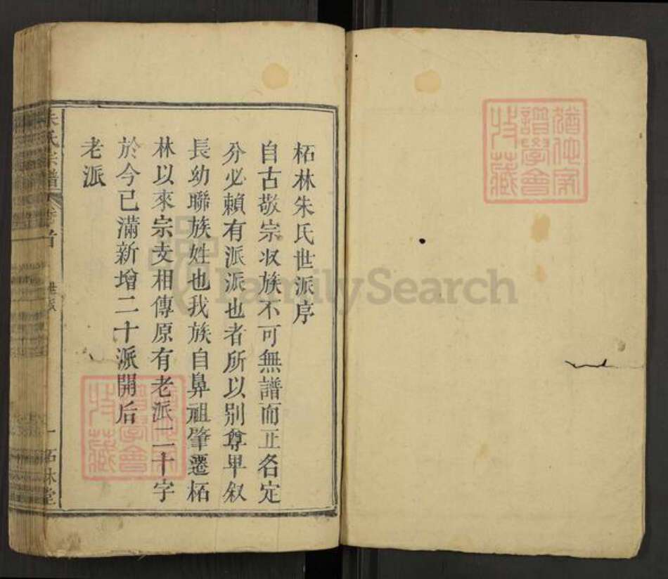 江西省九江市永修县柘林镇朱氏柘林堂族谱-朱氏宗谱.pdf电子版预览图1