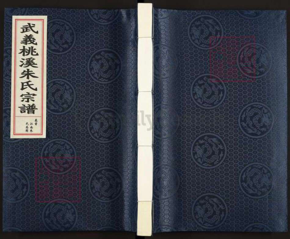 浙江省金华市武义县履坦镇朱氏族谱-武义桃溪朱氏宗谱.pdf电子版缩略图