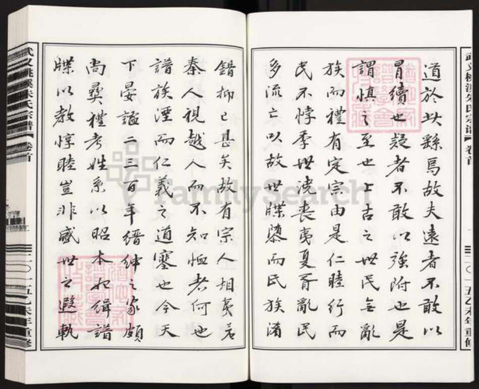 浙江省金华市武义县履坦镇朱氏族谱-武义桃溪朱氏宗谱.pdf电子版预览图2