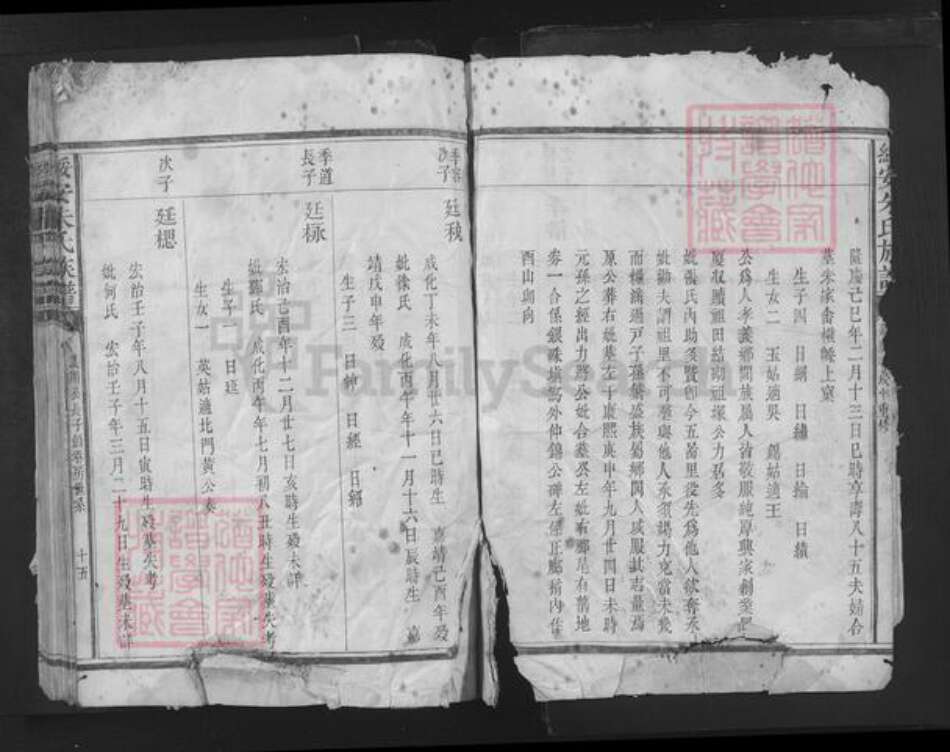 福建省漳州市漳浦县绥安镇朱氏族谱-绥安朱氏族谱.pdf电子版预览图4