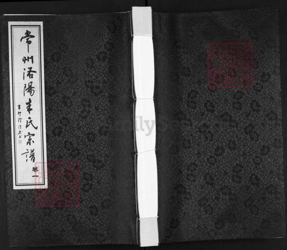 江苏省常州市武进县洛阳镇朱氏固德堂族谱-常州洛阳朱氏宗谱.pdf电子版缩略图