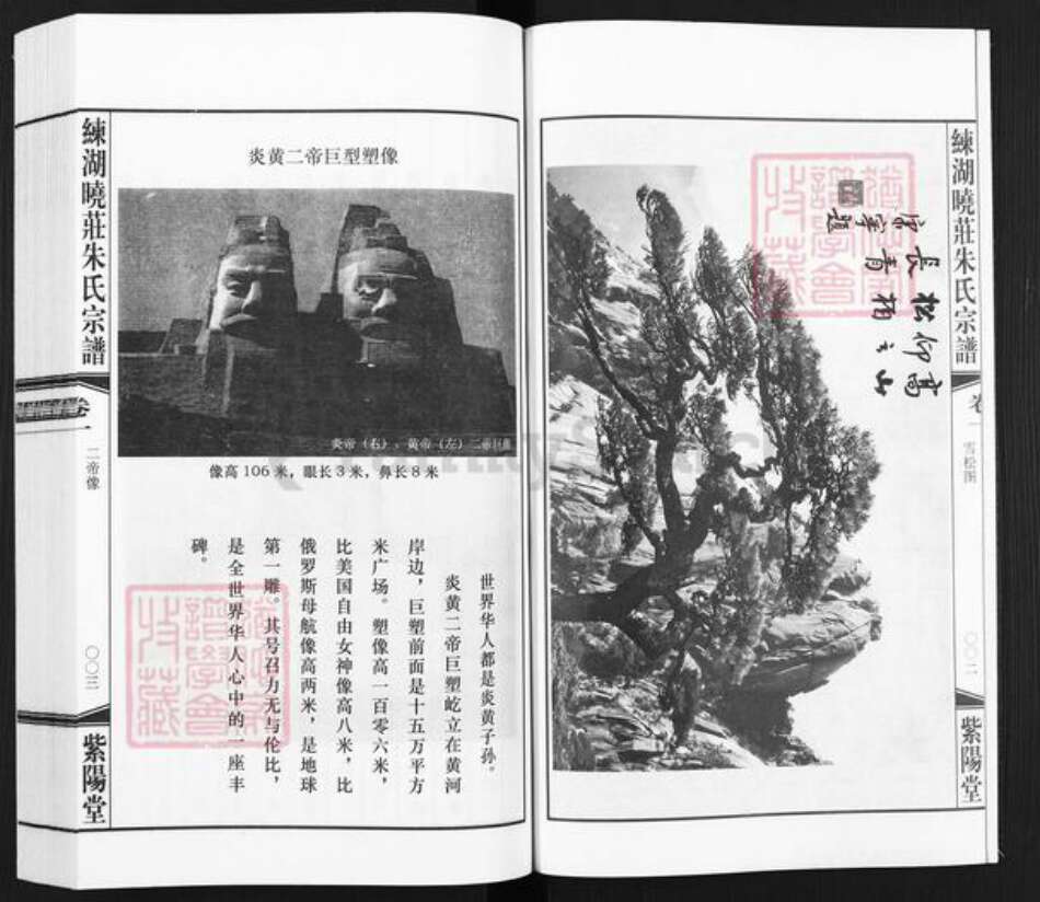 江苏省镇江市丹阳市朱氏紫阳堂族谱-练湖晓庄朱氏家谱.pdf电子版预览图4