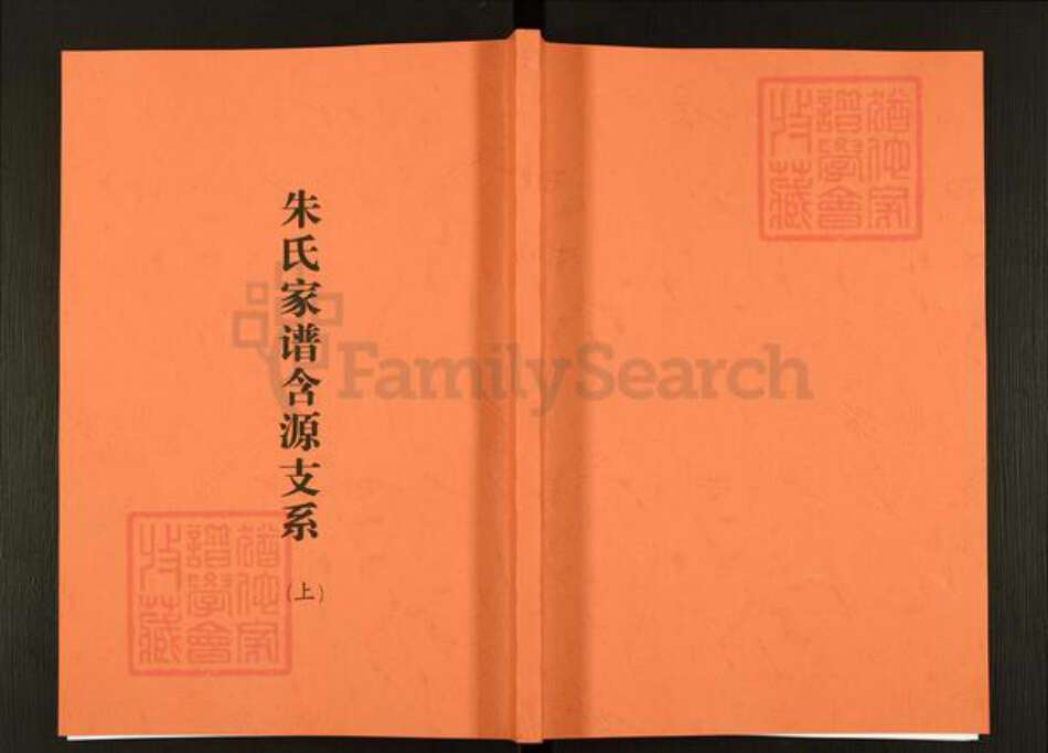 安徽省安庆市岳西县白帽镇朱氏族谱-朱氏家谱含源支系.pdf电子版缩略图