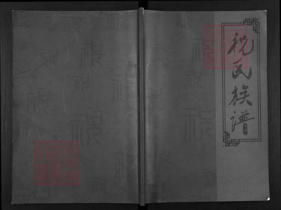 辽宁省盘锦盘山县祝氏族谱-祝氏族谱.pdf电子版缩略图