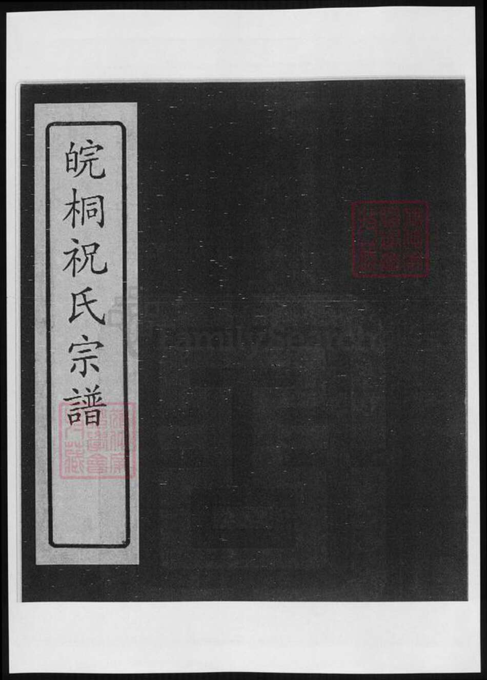 安徽省安庆市桐城市祝氏族谱-安徽桐城祝氏宗谱.pdf电子版缩略图