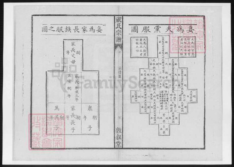 安徽省安庆市桐城市祝氏族谱-安徽桐城祝氏宗谱.pdf电子版预览图5