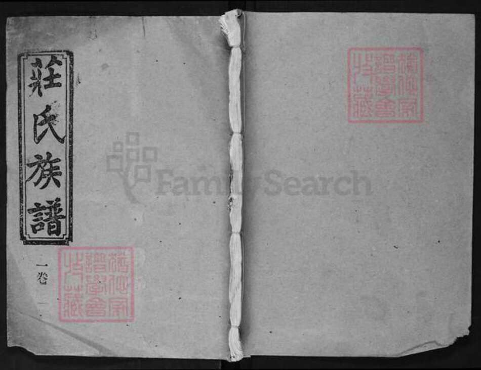 湖南省益阳市庄氏族谱-庄氏族谱.pdf电子版缩略图