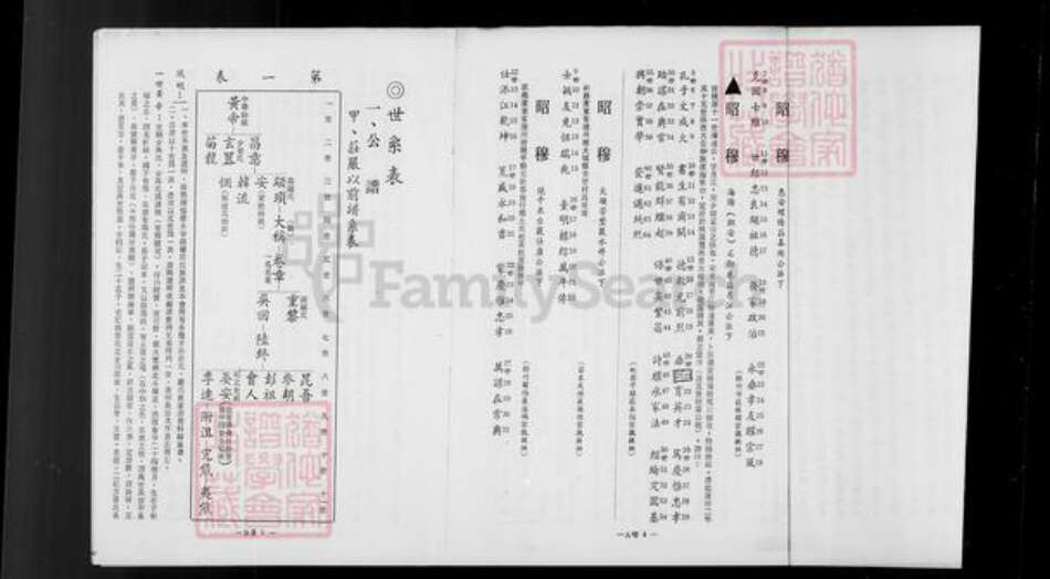 福建省南平市政和县桃园庄氏族谱-[庄氏族谱].pdf电子版预览图5