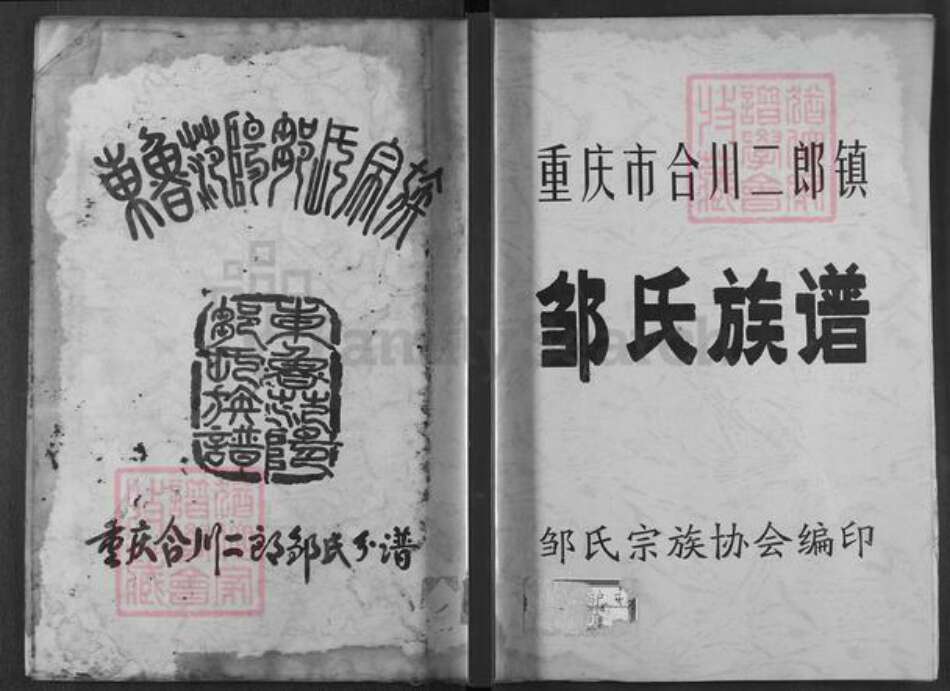 重庆市合川区邹氏族谱-邹氏族谱.pdf电子版缩略图