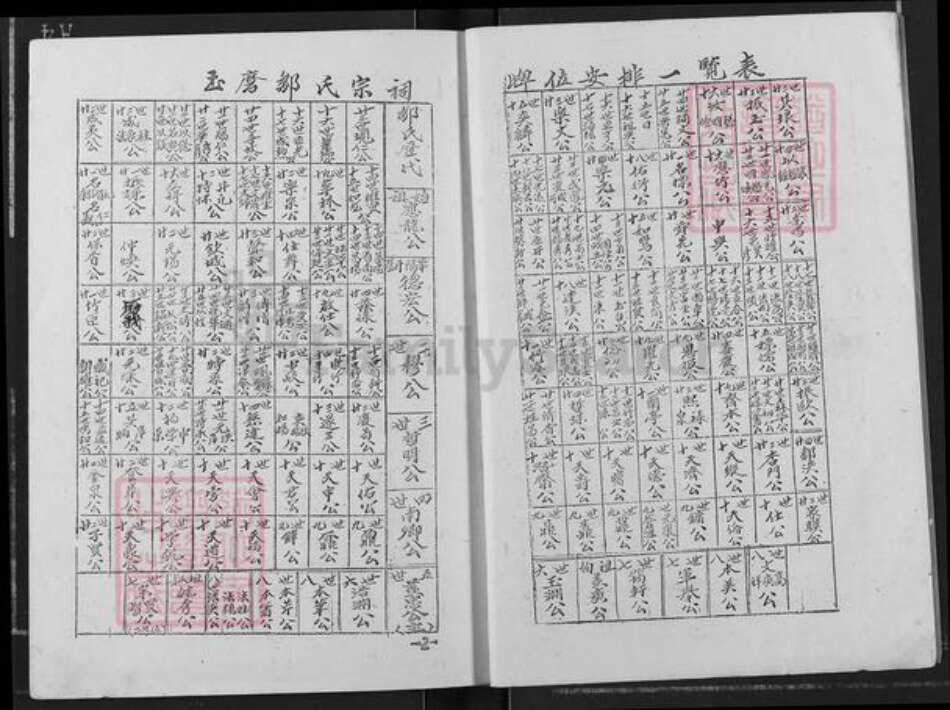 广东省梅州市五华县龙村镇邹氏族谱-五华玉磨邹氏宗祠落成庆典纪念册.pdf电子版预览图3