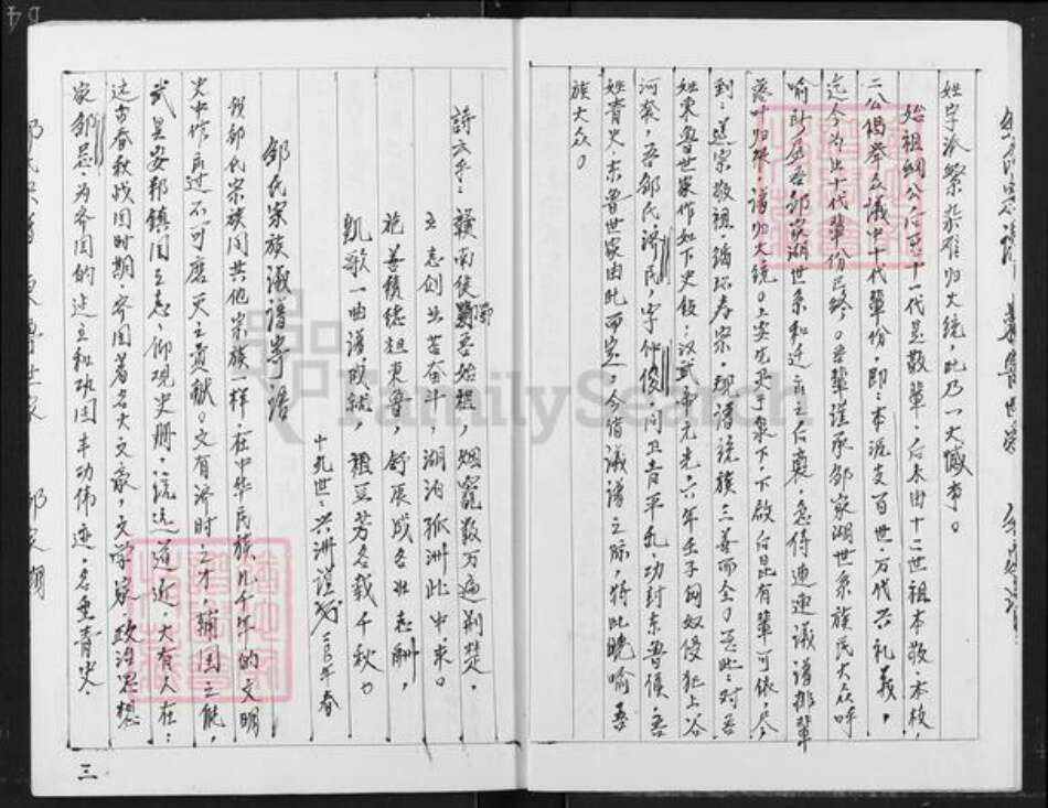 湖北省天门市彭市镇邹氏族谱-邹氏宗谱东鲁世家.天南支谱.pdf电子版预览图5