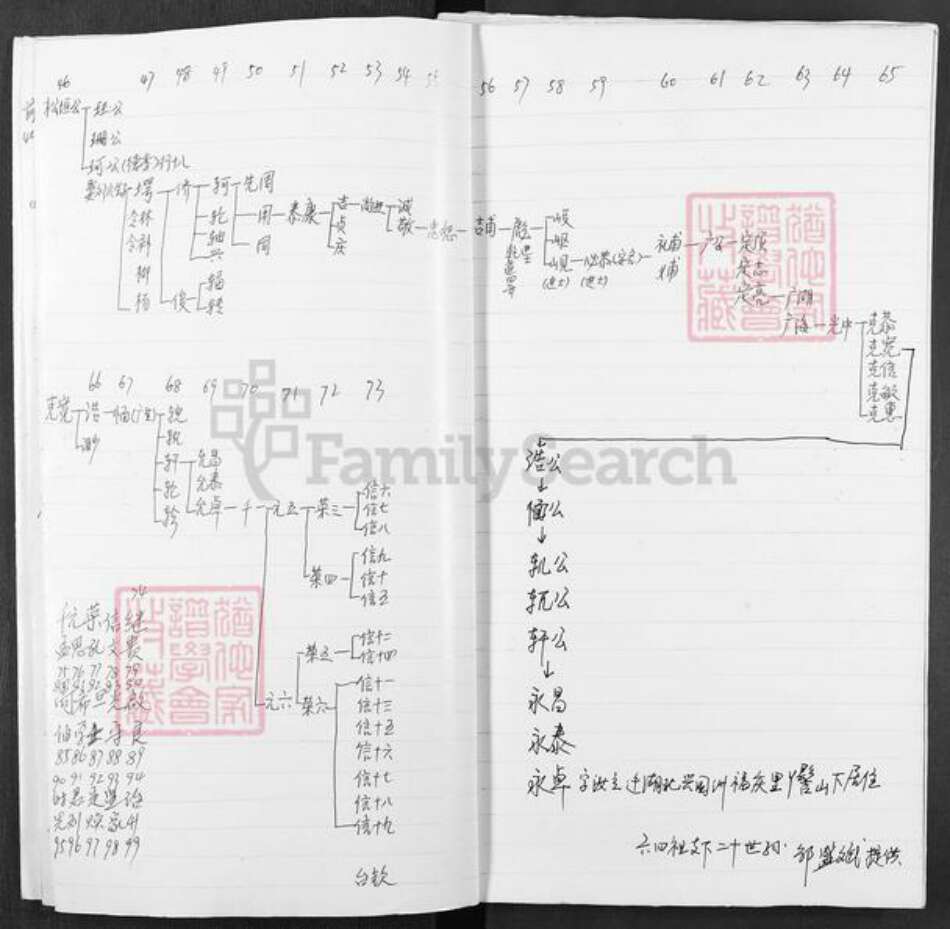 湖北省黄冈市罗田县邹氏族谱-邹氏宗谱.pdf电子版预览图3