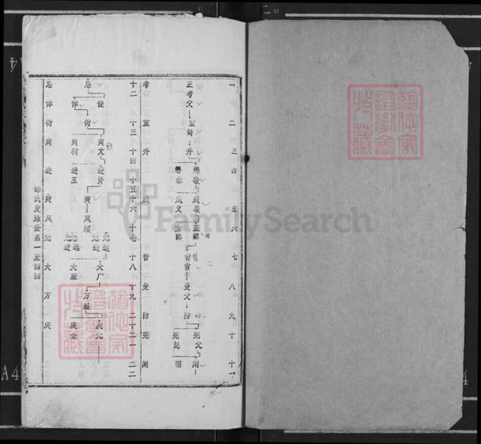 湖南省岳阳市平江县邹氏范阳堂族谱-邹氏族谱.平江南江镇可朋公支系.pdf电子版预览图1