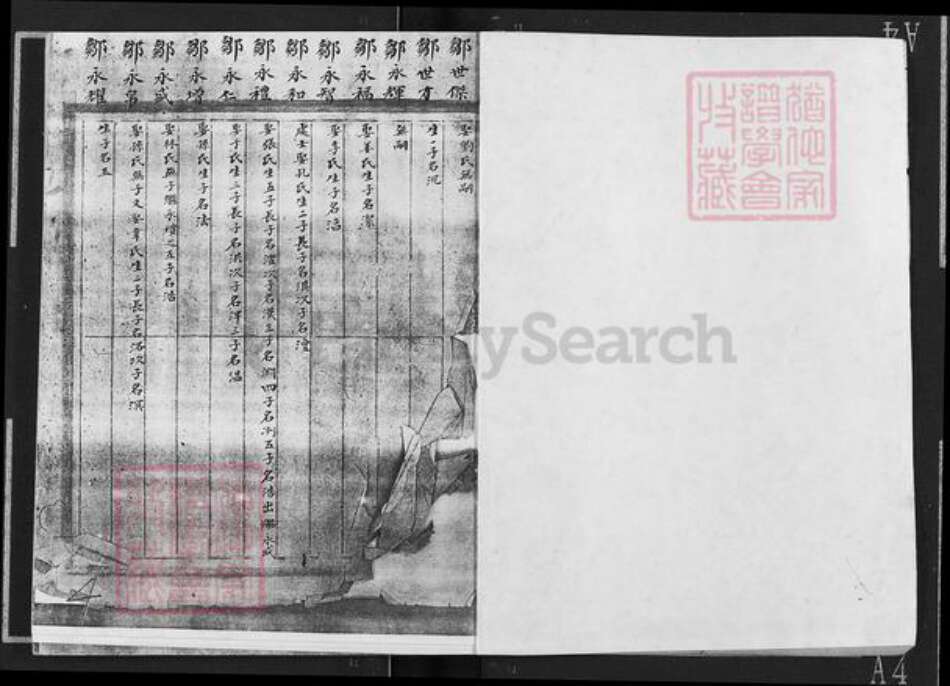 山东省烟台市福山区邹氏族谱-邹氏宗谱.pdf电子版预览图2