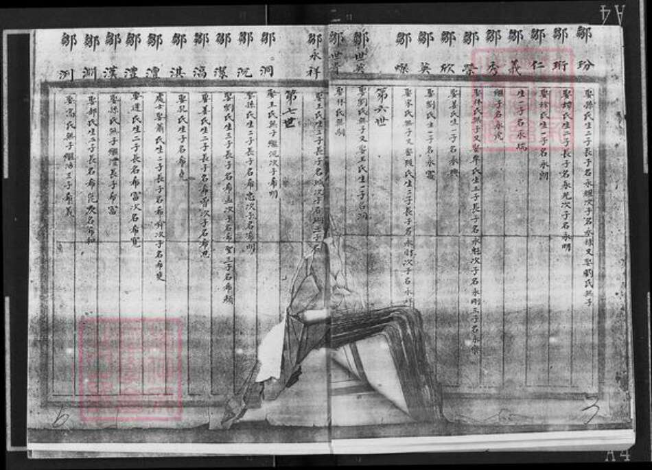 山东省烟台市福山区邹氏族谱-邹氏宗谱.pdf电子版预览图4