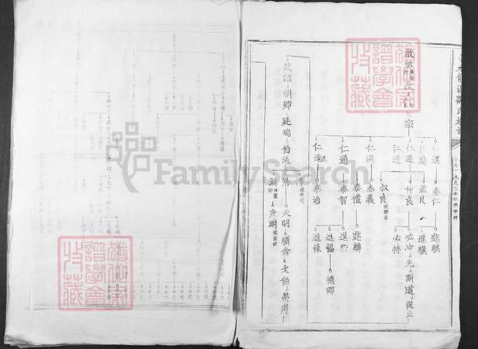 江西省吉安市安福县寮塘乡邹氏族谱-小水龙溪邹氏族谱.pdf电子版预览图2