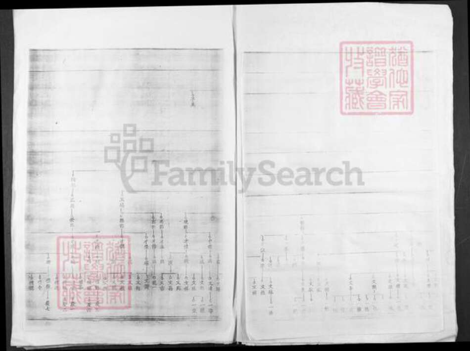江西省吉安市安福县寮塘乡邹氏族谱-小水龙溪邹氏族谱.pdf电子版预览图5