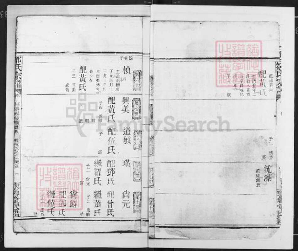 湖北省天门市岳口镇邹氏东鲁堂族谱-邹氏宗谱.pdf电子版预览图4